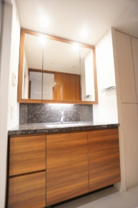 プラウド目黒東が丘3階：洗面台